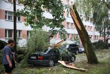 Kraków. Krajobraz po burzy na osiedlu Podwawelskim. Zniszczone samochody, powalone potężne drzewa, zablokowane drogi