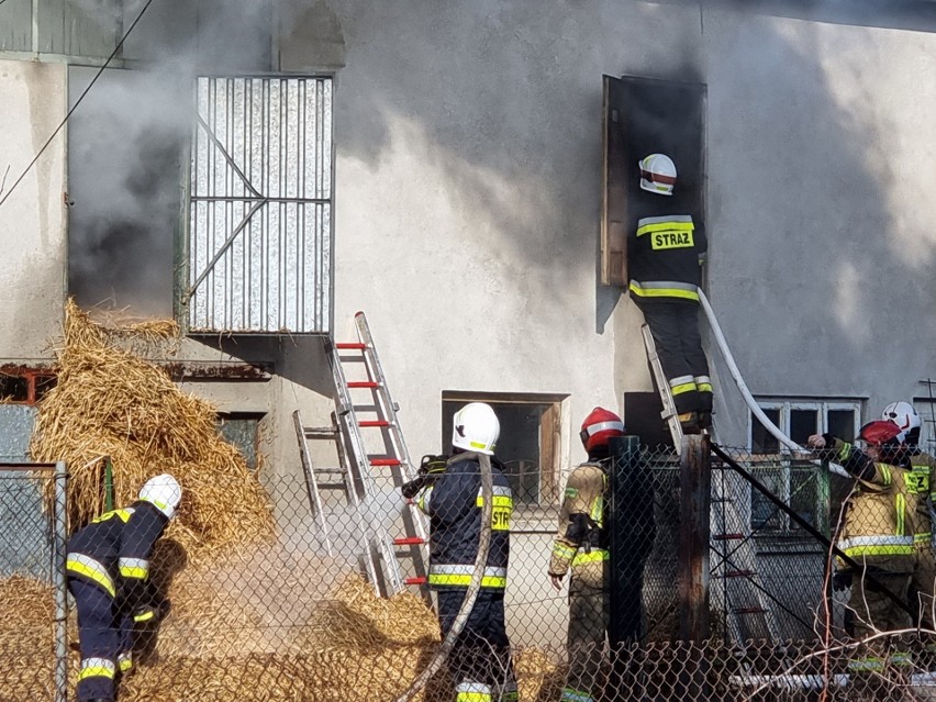 Pożar garażu i budynku gospodarczego w Nizinach niedaleko Przemyśla [ZDJĘCIA, WIDEO]