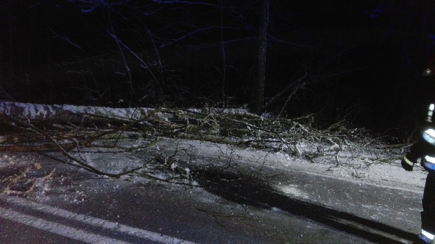 Powalone drzewo zablokowało drogę na trasie Orzysz - Giżycko