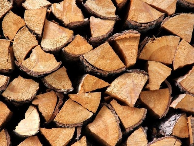 Skradzione drewno należące do Lasów Panstwowych warte było 3600 zł.