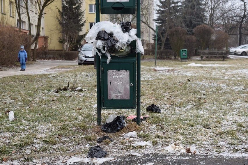 Zapełnione pojemniki na psie kupy. Dlaczego? 