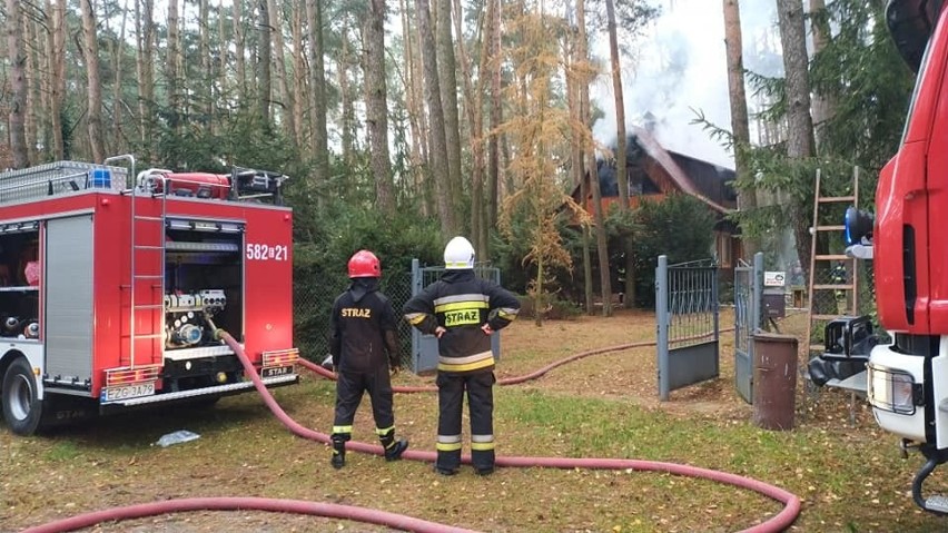 Pożar drewnianego domu w Sokolnikach. Ucierpiało starsze małżeństwo [zdjęcia]