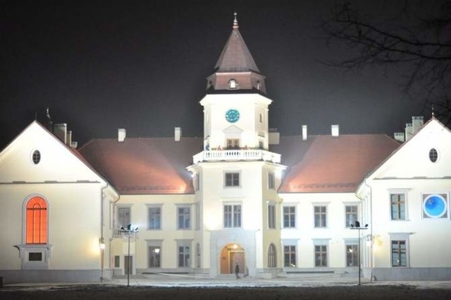Zamek Dzikowski nocą.