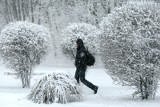 Uważajcie na groźną pogodę. W nocy będą opady śniegu i deszczu ze śniegiem oraz gołoledź, pojawią się również mgły!