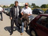Jest wniosek o areszt dla prezydenta Starachowic i urzędniczki