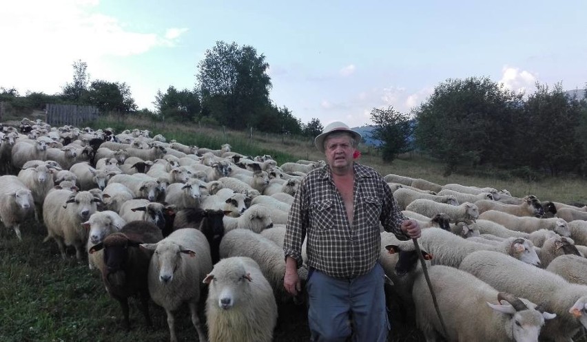 Weź udział w konkursie fotograficznym „Piękny Śląsk”   i zgarnij wyjątkowe nagrody! 