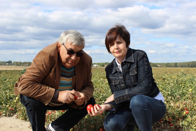 Bernadeta i Stanisław na jednym ze swoich pól.