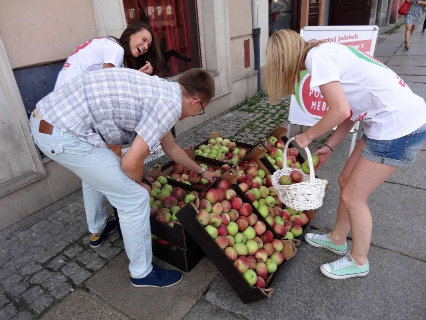 Wielkie rozdawanie jabłek w Poznaniu