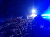 Tragiczny wypadek na drodze wojewódzkiej. Czołowe zderzenie dwóch samochodów