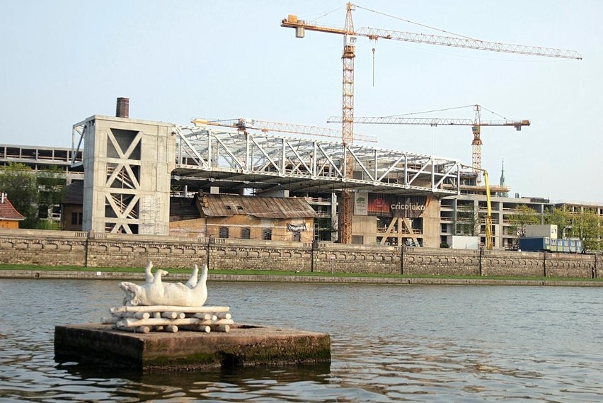 Budowa Cricoteki, maj 2013
