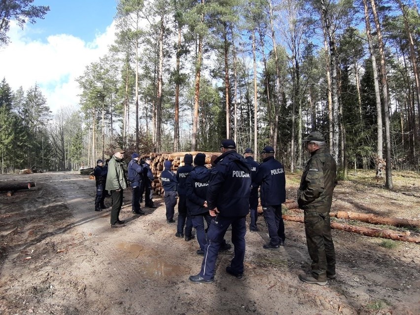 Bielsk Podlaski. Policjanci i leśnicy będą walczyć ze szkodnictwem