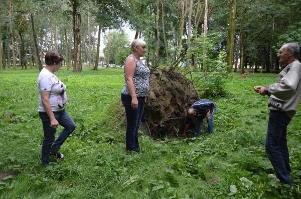 Mieszkańcy ul. Ogrodowej nie mogą zrozumieć, dlaczego miasto przez lata, w oczekiwaniu na Sądecką Wenecję, zaniedbuje park