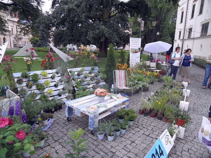 Dendronalia 2014. Do niedzieli trwa Żywiecki Festiwal Roślin [ZDJĘCIA]