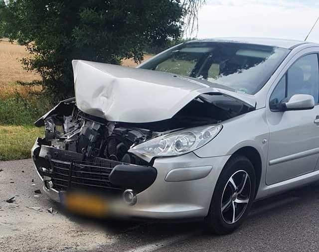 Żabin. Zderzenie dwóch pojazdów. Przyczyną wypadku było zwierzę, które weszło na drogę. Zdjęcia