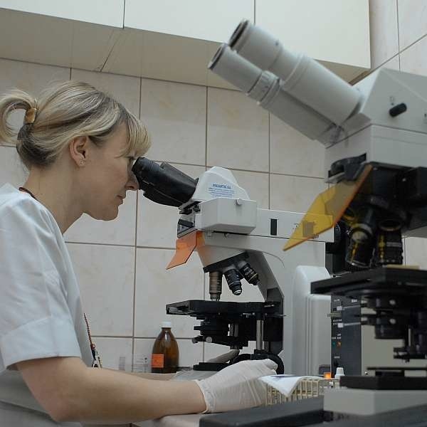 Lidia Wójcik z laboratorium mikrobiologicznego Szpitala Wojewódzkiego w Opolu przeprowadza testy na obecność meningokoków.