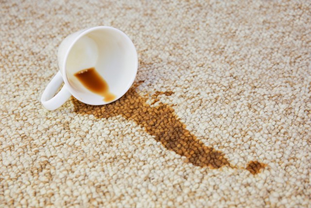 Plamy na dywanie można usunąć za pomocą domowego płynu czyszczącego. Kosztuje niewiele i łatwo go zrobić.
