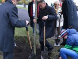 Prezydent Bydgoszczy Rafał Bruski sadził drzewa