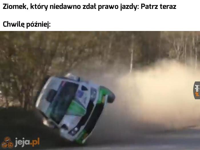 Memy o kursie na prawo jazdy, egzaminie i egzaminatorach....