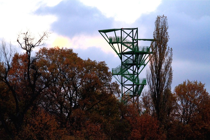 40 metrowa wieża widokowa znajduje się w okolicach Kotowic...