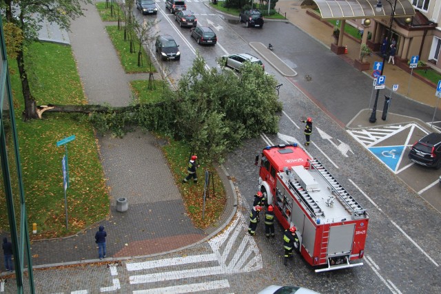 Dzisiaj popołudniu w centrum Białegostoku na chodnik i kawałek ulicy runęło drzewo.