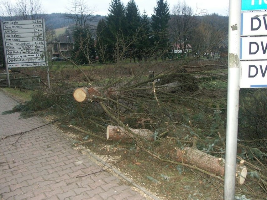 Przewrócone drzewo w Wiśle zerwało wszystkie trakcje i...