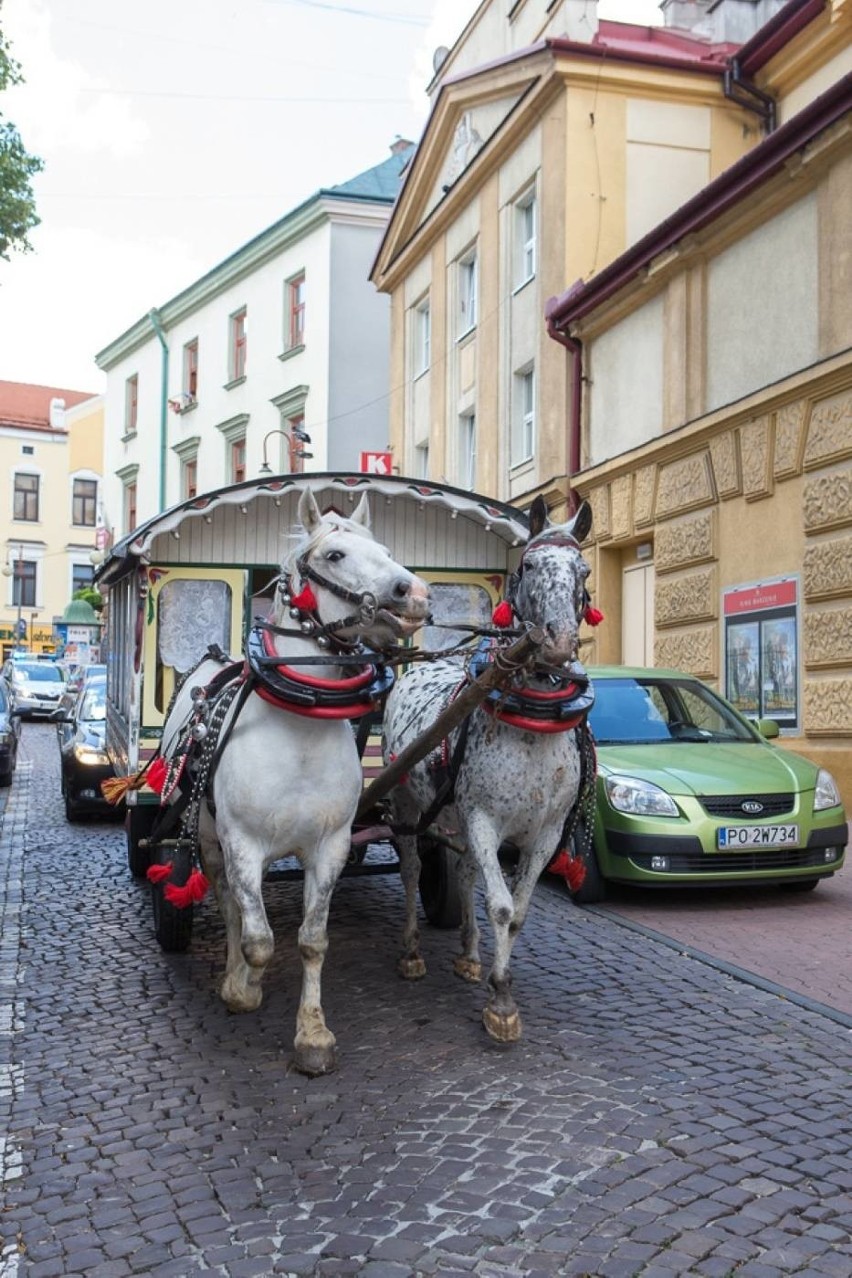 Międzynarodowy Tabor Pamięci wyruszy 23 sierpnia wozami...