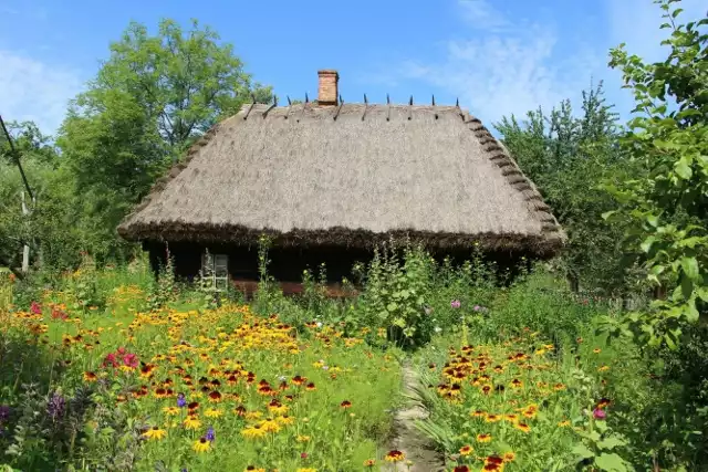 Język, którego używamy na Podlasiu jest mieszanką wpływów białoruskich, litewskich, rosyjskich. Część uległa przeobrażeniu. Inne z kolei dalej funkcjonują w naszym języku