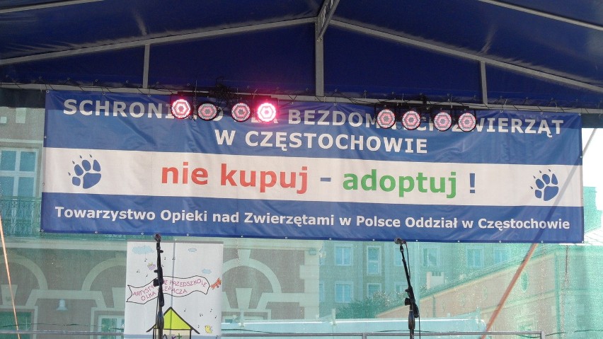 "Nie kupuj-adoptuj!" - festyn dla zwierząt w Częstochowie [ZDJĘCIA]