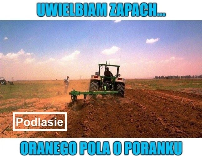 Nowe memy o Podlasiu i Podlasianach. Oto Najśmieszniejsze...