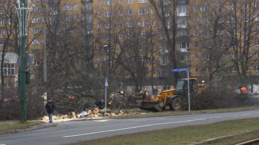 Sosnowiec: objazd i wycinka drzew na Starym Sosnowcu. To początek budowy ronda [ZDJĘCIA]