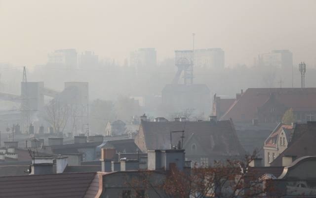 Izba Gospodarcza Sprzedawców Węgla: w Polsce z powodu zimna umarło w Polsce 35 tys. osób. Polski Alarm Smogowy: To fake news!