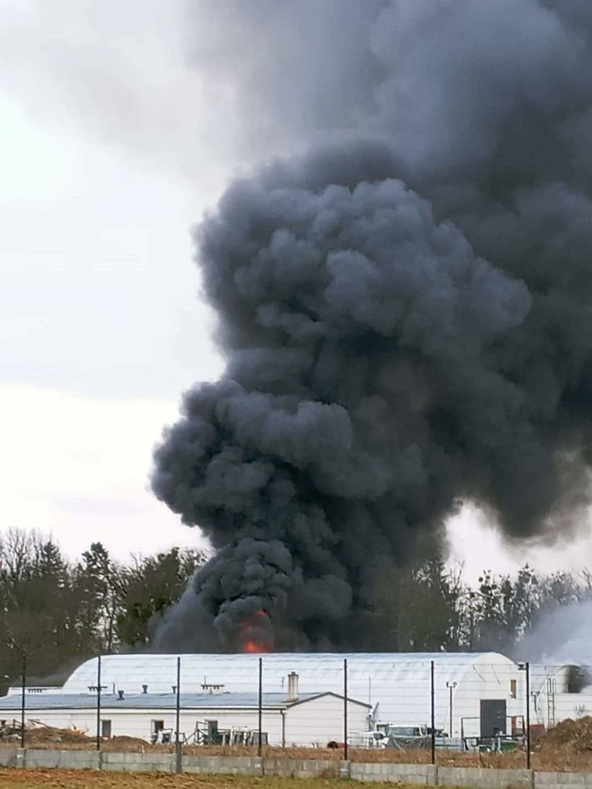 Młodzianowo. Pożar hali produkcyjnej. Paliła się hala o powierzchni 2000 m kw. 63 strażaków gasiło pożar