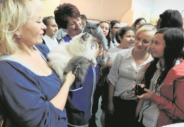 Wczoraj odbył się zlot pasjonatów, którzy brali udział w projekcie. Na zdjęciu Mariola Milkowska prezentuje swoje koty.
