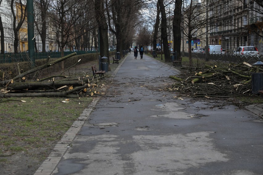 Wichura w Krakowie. Uszkodzone domy i powalone drzewa [ZDJĘCIA]                       