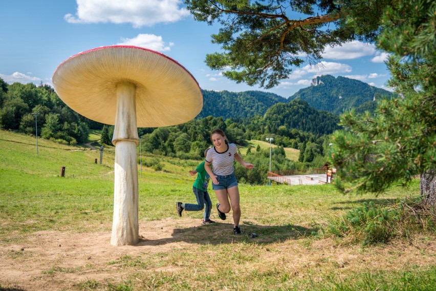 Nowa atrakcja w Pieninach! Palenicę opanowały wielkie owady i nie tylko... [ZDJĘCIA]