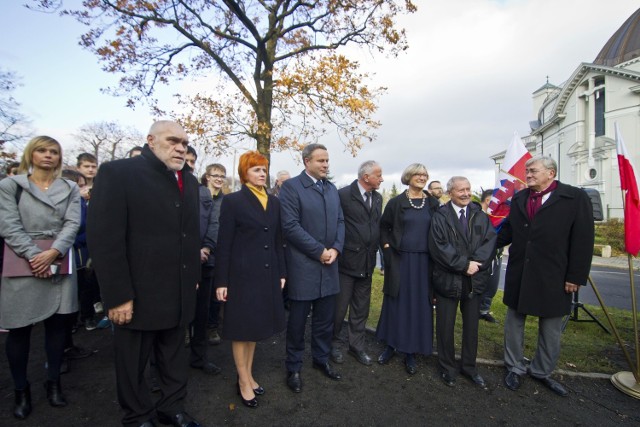 Zasadzenie dębu PiłsudskiegoZasadzenie dębu Piłsudskiego