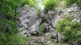 Rezerwat leśno-krajobrazowy "Parkowe" na Jurze to skarb natury. Jaskinie, skały, źródła z klimatem i roślinnością górską. WIDEO i ZDJĘCIA 
