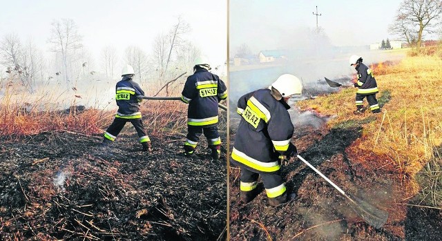 Do pożaru trawy w Czermnie  doszło 11 bm. ok. godz. 16.35. Do akcji pojechali druhowie z OSP Skępe. Spłonął około hektar trawy