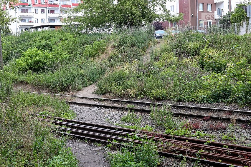 Szczecińska Kolej Metropolitalna. Zastanawiają się, gdzie zrobić przejścia przez tory