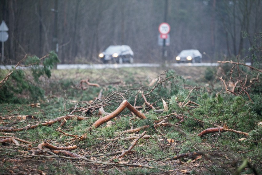 Grunwaldzka: ponad 200 zdarzeń.