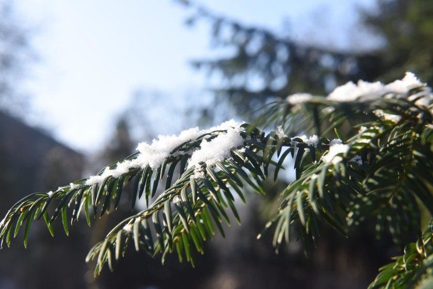 W ten weekend temperatura z dnia na dzień będzie wyższa....