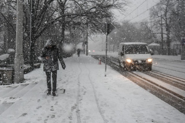 Piątek 25.01W piątek termometry wskażą -5 stopni Celsjusza. Jednak temperatura odczuwalna wyniesie - 10 stopni Celsjusza. To będzie pochmurny dzień. Wiatr będzie wiał z prędkością 10km/h. Ciśnienie wyniesie 1012,4 hPa.Przejdź do kolejnego dnia --->