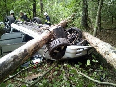Wypadek w powiecie staszowskim. BMW ścinało drzewa, wylądowało w lesie  