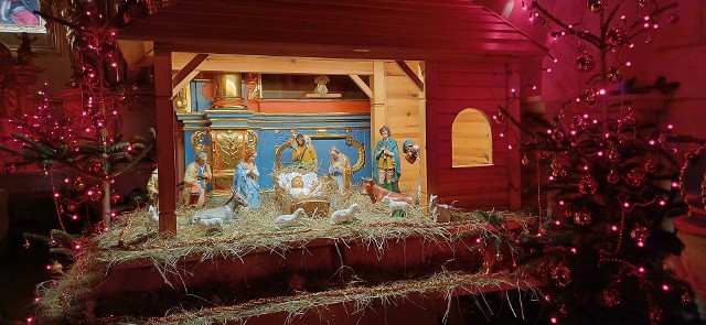 Szopka bożonarodzeniowa w kościele pod wezwaniem świętego Jakuba w Szczaworyżu.