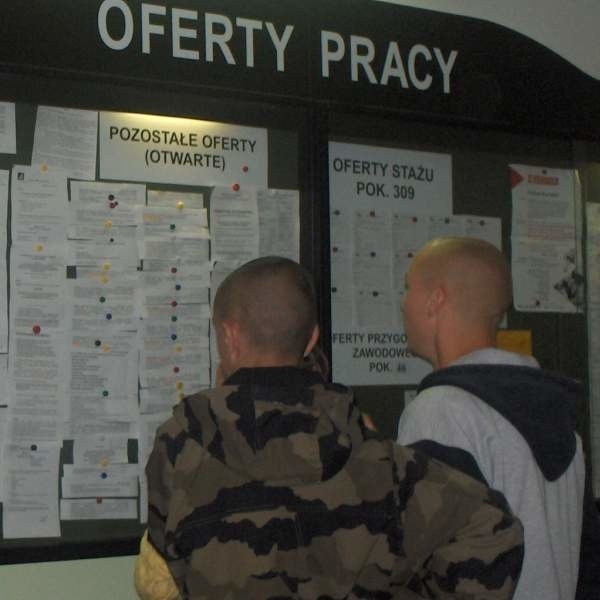 Oferty o naborze do pracy w tarnobrzeskim starostwie na tablicy ogłoszeń w Powiatowym Urzędzie Pracy w Tarnobrzegu będą wisiały jeszcze przez kilka dni.