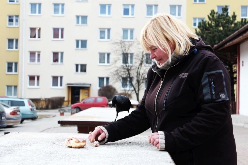 - Jest tu gwiazdą! - mówią mieszkańcy o kawce "Kuba" z...