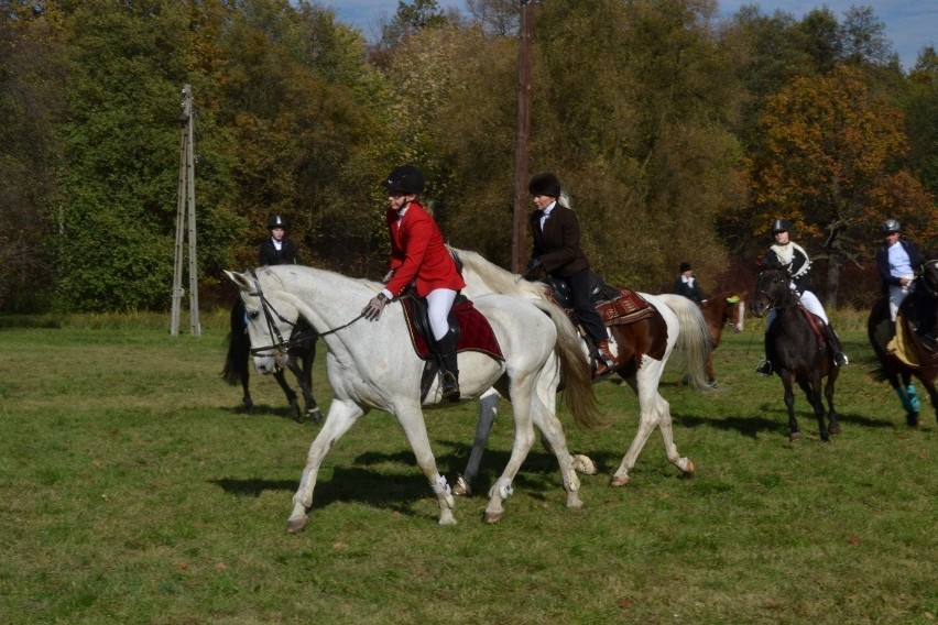 Hubertus 2013 w Świerklańcu. Gonitwy, psy myśliwskie i pokazy sokolnictwa [ZDJĘCIA]