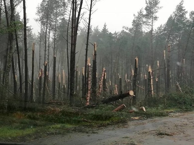 Sierpień 11-12.2017. Zniszczenia po nawałnicy w gminie Studzienice.