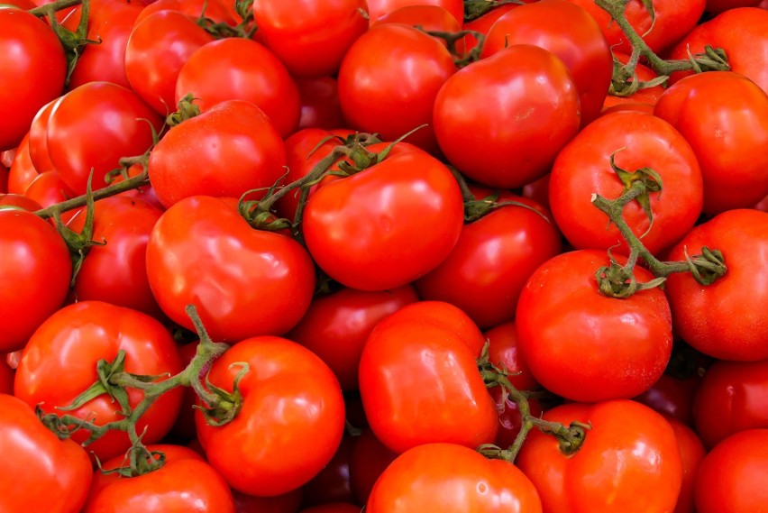 Pomidory nie tylko hamują wzrost guzów nowotworowych, ale są...