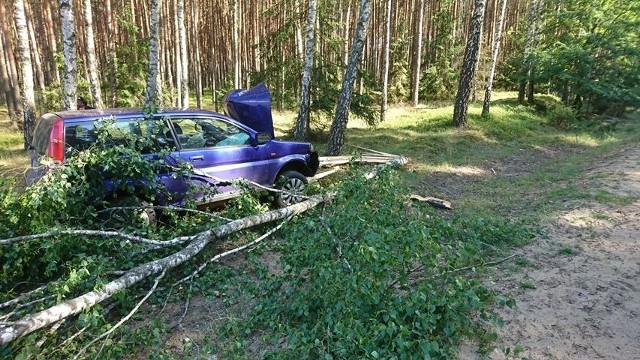 Do zdarzenia doszło we wtorek przed godz. 17. Jak poinformował nas Czytelnik, samochód osobowy uderzył w drzewo. Ranna została kobieta, która prowadziła auto. Jak udało nam się dowiedzieć, ok. 40-letnia kierująca twierdziła, że zasnęła za kierownicą.Więcej informacji wkrótce.